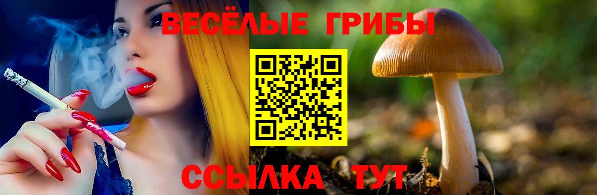 Галлюциногенные грибы Psilocybine cubensis  Галлюциногенные грибы Psilocybe  что такое   Вход с VPN  Новочебоксарск 